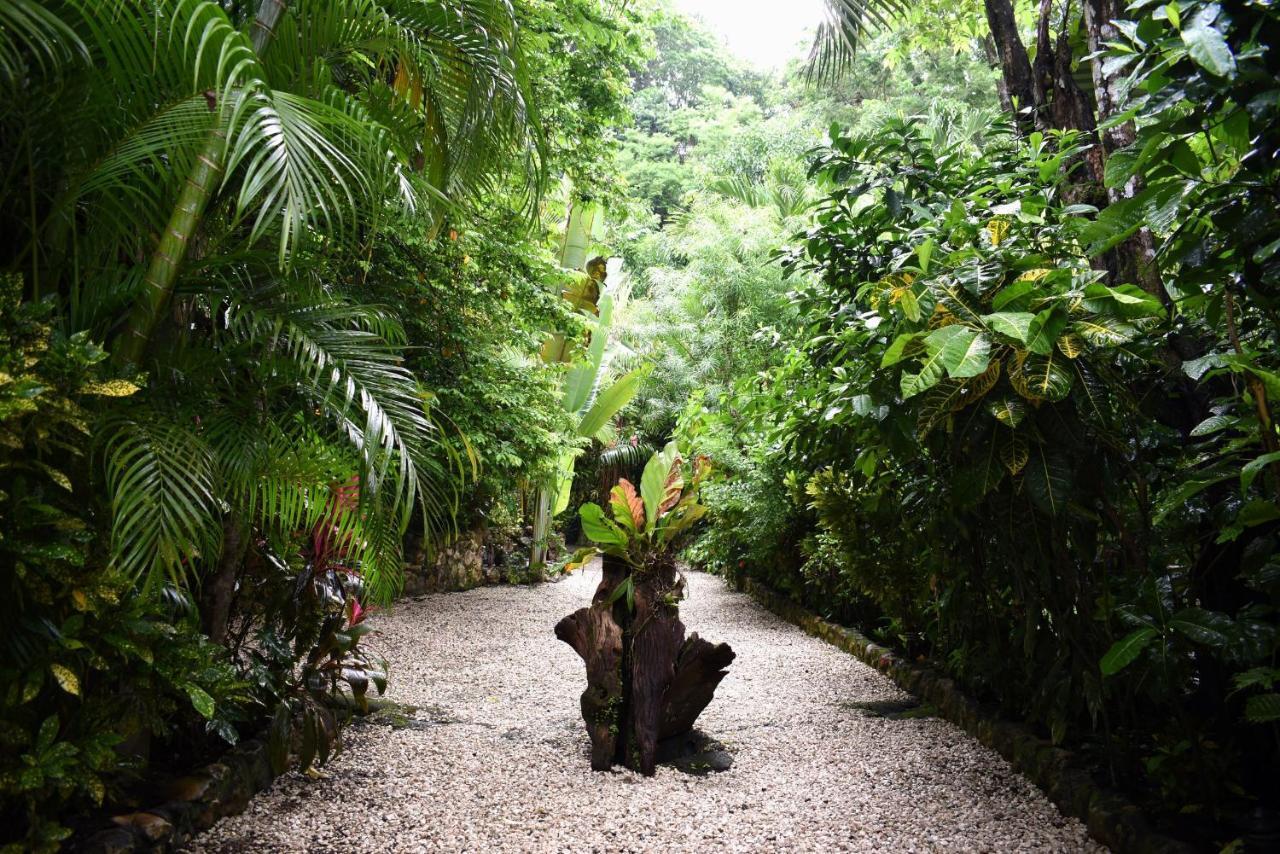 Pachamama Lodge Playa Santa Teresa  Eksteriør bilde